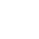 Oversight Plan
